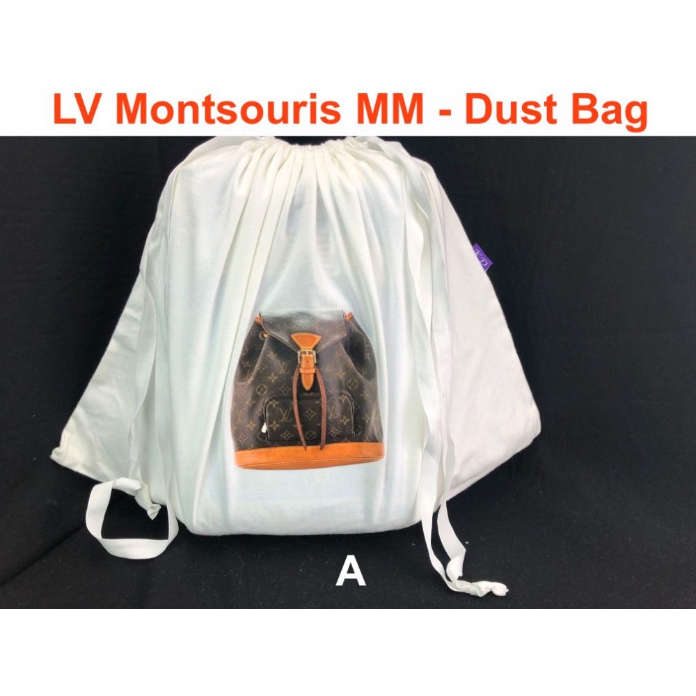 LV Montsouris MM Backpack (Dust Bag)