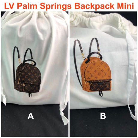 LV Palm Springs Backpack Mini (Dust Bag)