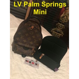 LV Palm Springs Backpack Mini Organizer